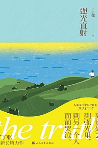 《强光直射》丁丁张