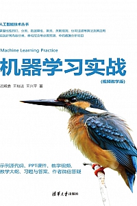 《机器学习实战·视频教学版》迟殿委