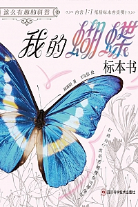《这么有趣的科普 我的蝴蝶标本书》郑霄阳