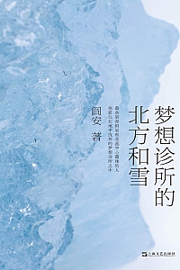 《梦想诊所的北方和雪》阎安