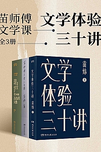 《苗师傅文学课:文学体验三十讲》全三册/苗炜