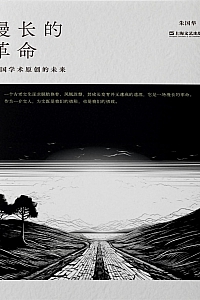 《漫长的革命:中国学术原创的未来》朱国华