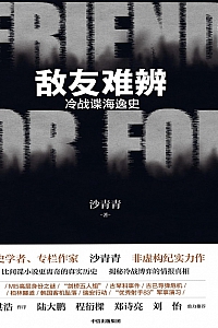 《敌友难辨 : 冷战谍海逸史》沙青青