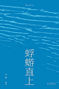 《蜉蝣直上》小佳