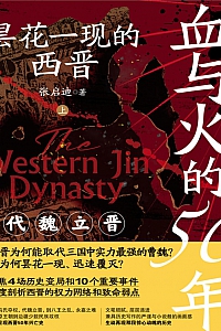 《血与火的50年:昙花一现的西晋》张启迪