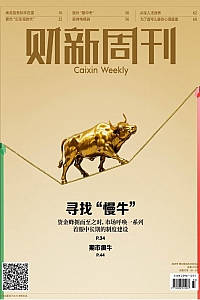 《财新周刊·2025年第33期》