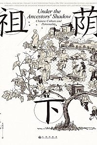 《祖荫下:传统中国的亲属关系、人格和社会流动》