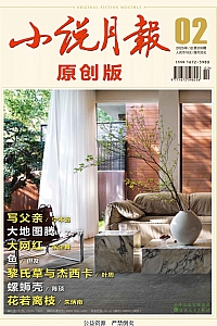 《小说月报·原创版·2025年第2期》