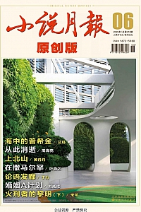《小说月报·原创版·2025年第6期》