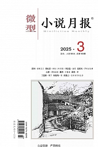 《微型小说月报·2025年03期》