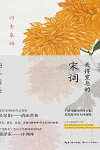 《归去来辞:美得窒息的宋词》吴俣阳解析