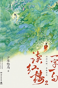 《一字一句读红楼 2》少年怒马