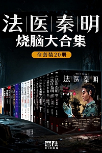 《法医秦明烧脑大合集》共20册