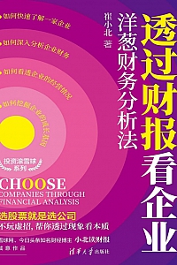 《透过财报看企业:洋葱财务分析法》崔小北