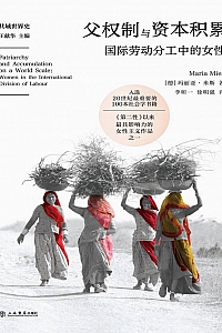 《父权制与资本积累:国际劳动分工中的女性》