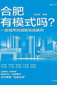 《合肥有模式吗?》刘志迎